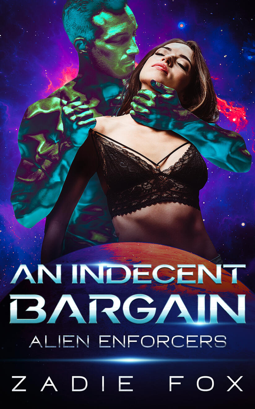 An Indecent Bargain cover